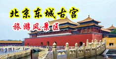 操jk妹免费视频网站中国北京-东城古宫旅游风景区